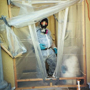Commercial Mold Removal Toronto