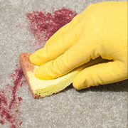Carpet Blood Cleanup