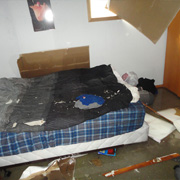 Toronto Flood Water Damage Restoration