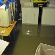 GTA FLood Restoration