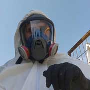 Mold testing toronto