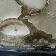 Mold Removal  Remediation in Toronto
