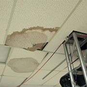 Structural Drying, Specialty Drying