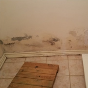 North York mold Removal  remediation