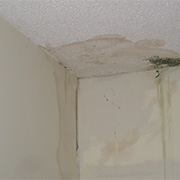Structural Drying, Specialty Drying