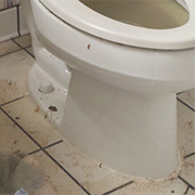 Sewage Backup Cleaning Toronto