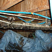 Sewage Backup Clenup Toronto