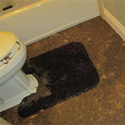 Sewage Backup Toronto
