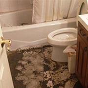 Sewer Backup Cleaning Services Toronto