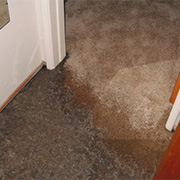 Sewer Cleaning Toronto
