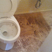 Sewer Cleanup Toronto