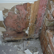 Restoration Group mold Removal remediation service