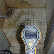 Restoration Group mold removal Toronto