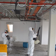 mold removal toronto