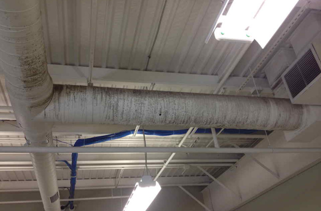 mold removal toronto