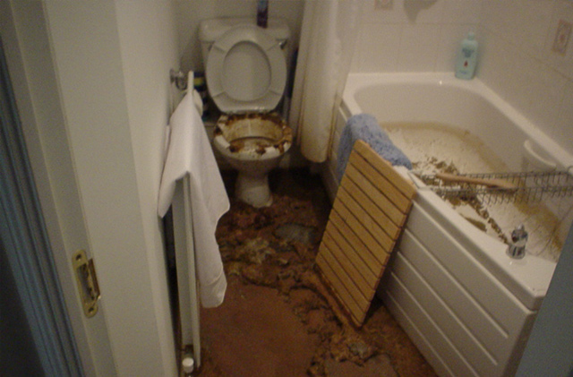 sewer backup before