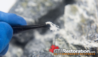 Toronto Asbestos Removal How It Works With Restoration Group