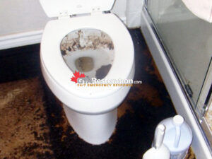 Sewage Backup Cleaning Gta