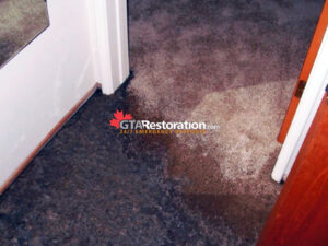 Sewage Cleaning Toronto House