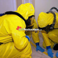 Toronto Biohazard, Restoration Group Careers: Join Our Team in Toronto