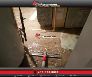 Why You Should Trust Experts For Flood Cleanup In Toronto